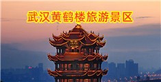 在线播放操嫩屄