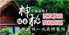 野兽防线高清免费播放