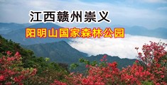 大鸡巴操逼内射视频